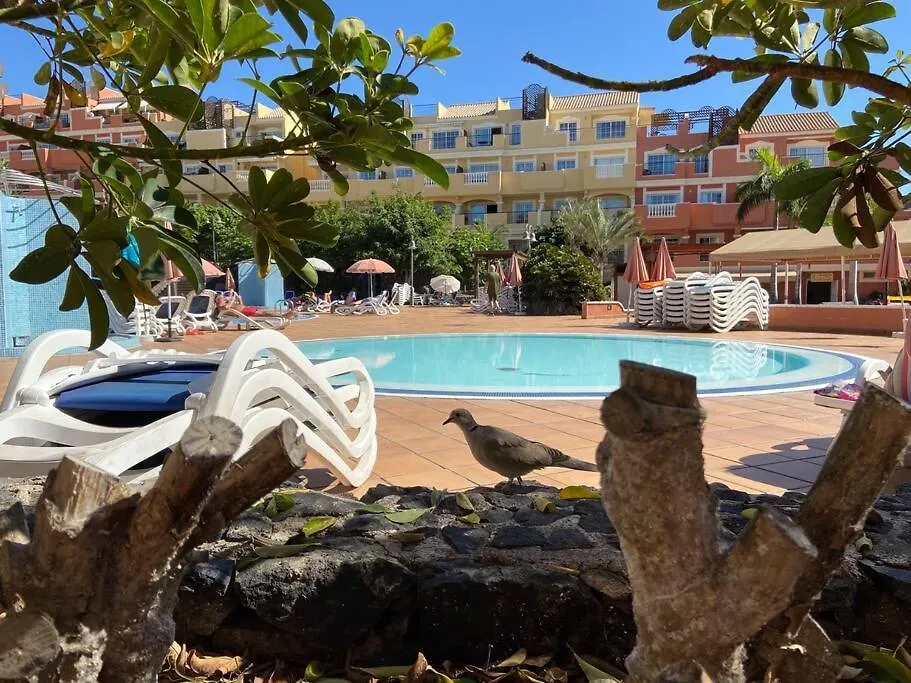 Apartament Amazing Penthouse Los Cristianos
